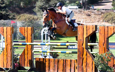 Andre-Jumper-for-sale-in-California-Pic-1