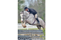 Athos Gelding 2009 succesful in Texas