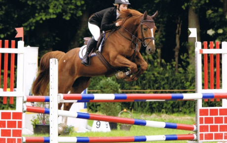 Balexus Jumper Sold to Itlay