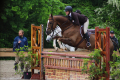 Caledonia Sold by European Sporthorses (1).JPG