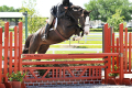 Camiros-Hunter-for-sale-1
