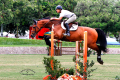 Cant-Stop-Gelding-winning-6-years-old-class-Del-Mar-California-Pic-2