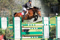 Cant-Stop-Gelding-winning-6-years-old-class-Del-Mar-California-Pic-3