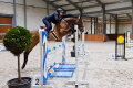 Casino Jumper for sale Jump Pic Montfort 2