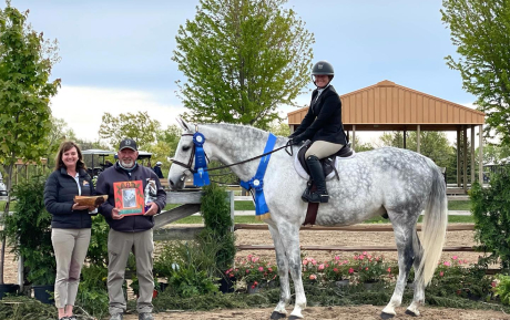 Cinnamon Z winner Hunter Derby at his first show Sold by European Sporthorses
