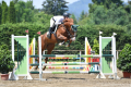 Clinic KM Equestrian Austria Pic (18).JPG