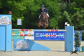 Collin Gelding 2007 by Sam R Pic 1 (2)