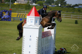 Collin Gelding 2007 by Sam R Pic 3