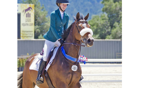 Collin-sucessfull-in-California-Sold-by-European-Sporthorses