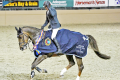 Concorde winner of 100.000$ Grand Prix Del Mar 5