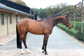 Conte-Jumper-Pic-1