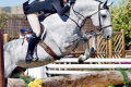 DaVinvci Hunter For sale Hope Glynn Michael Mildner V2