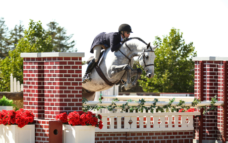Davinci-Gelding-2008-with-Hope-Glynn-Pic-1