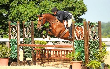 Dayshine-Mare-2008-by-Tangelo-Hunter-for-sale-KY-Pic-1