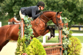 Dayshine-Mare-2008-by-Tangelo-Hunter-for-sale-KY-Pic-4