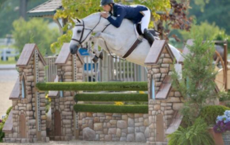 Detroit Hunter sold European Sporthorses