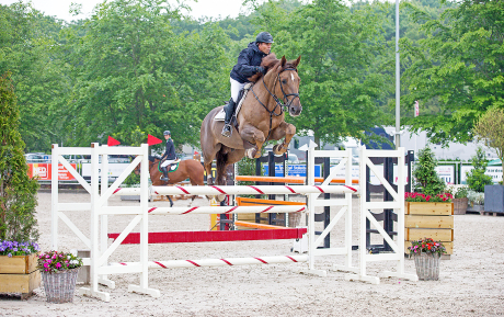 Gloster-Gelding-2006-Rosendaal-Pic-2