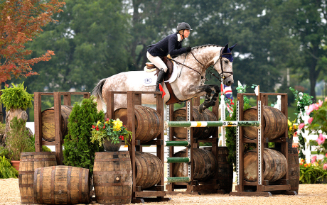 HC-Bellini-Jumper-Sold-by-European-Sporthorses-Pic-1