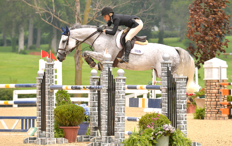 Image-Valerie-Z-Mare-2008-by-Indorado-Jumper-for-sale-Kentucky-Pic-2