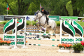 Image-Valerie-Z-Mare-2008-by-Indorado-Jumper-for-sale-Lamplight-Pic-3