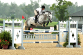 Image-Valerie-Z-Mare-2008-by-Indorado-Jumper-for-sale-Pic-KY3