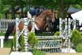 Kesh Mare 2012 by Kalaska de Semily Hunter for sale Pic Kentucky 1