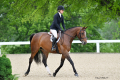 Kesh Mare 2012 by Kalaska de Semily Hunter for sale Pic Kentucky 2