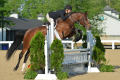 Kesh Mare 2012 by Kalaska de Semily Hunter for sale Pic Kentucky 3