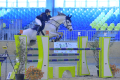 Lerado-Jumper-Sold-to-Itlay