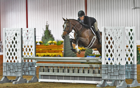 Lewis Hunter for sale Pic 2