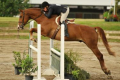 Liza and Gilbert 2