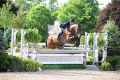 Lorton Hunter for sale Competition Pic 1