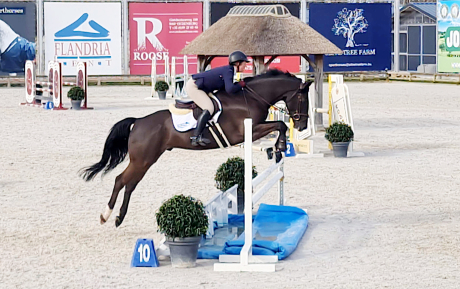 Luc Hunter for sale pic 1