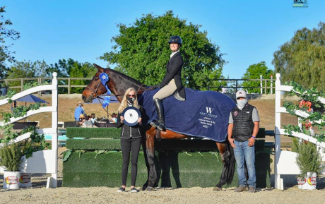 Matis winner of the Hunter Dery sold by European Sporthorses (1)