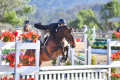 Matis winner of the Hunter Dery sold by European Sporthorses (2)