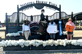 Mattis Sold horse by European Sporthorses Champion