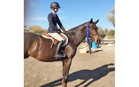 Meru Winner in Thermal sold by European Sporthorses