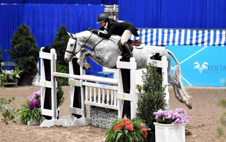 Next Chapter Gelding Sold by European Sporthorses Michael Mildner