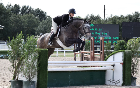 Parabolis Hunter Sold by European Sporthorses
