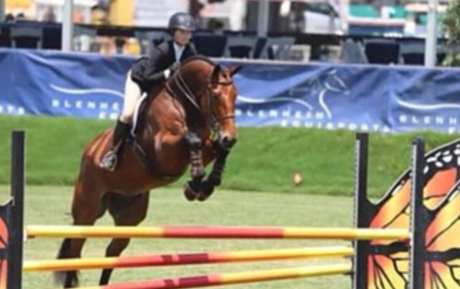 Quinten successful in Calofrnia sodl by European Sporthorses
