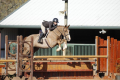 Redding Gelding 2013 by Arko Hunter for sale Pic2