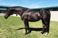 Rodan Hunter Home Pic 1