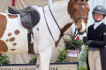 Rowley Gelding Sold by European Sporthorses