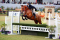 Split Hunter for sale Equitation horse for sale 1 (1)