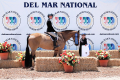 Split Winner Junior hunter Del mar hunter sold by European Sporthorses