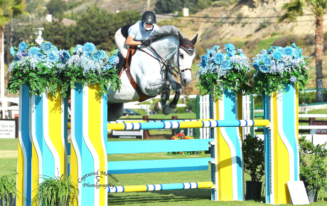 Sunshine-Sold-by-European-Sporthorses-2