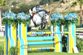 Sunshine-Sold-by-European-Sporthorses-2