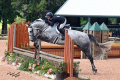 Tipsy Mare 2016 Sold by European Sporthorses (2)