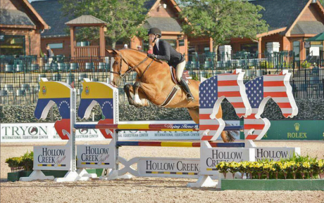 Vakker Equitation horse for sale Pic 1