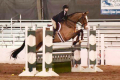 Vakker Gelding 2006 Equitation horse for sale Pic 2017 (1)
